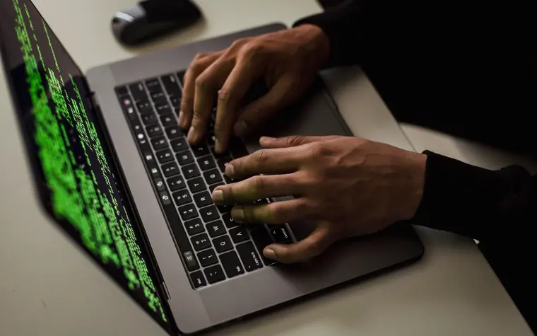 Person reviewing WordPress security information on a laptop.