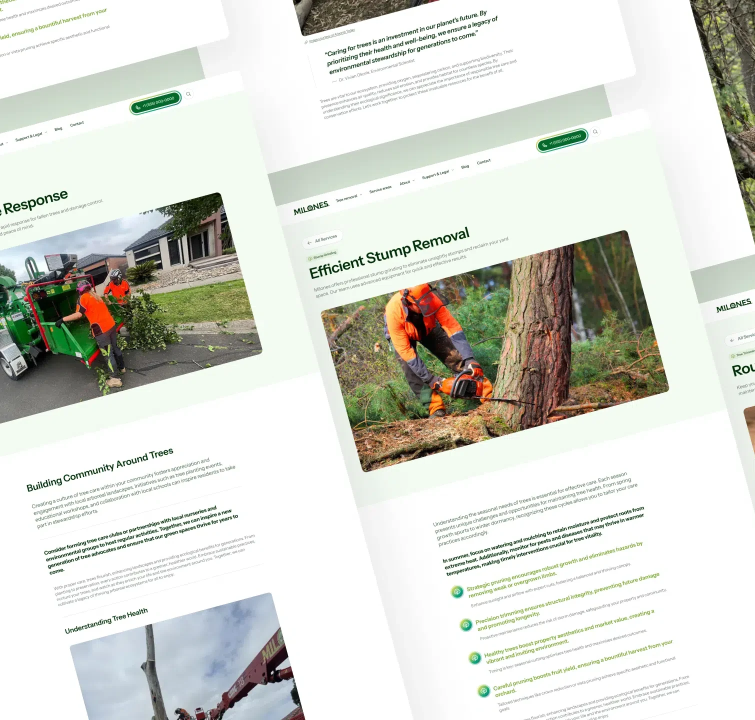 Local SEO campaign for Milone's Tree Solutions.