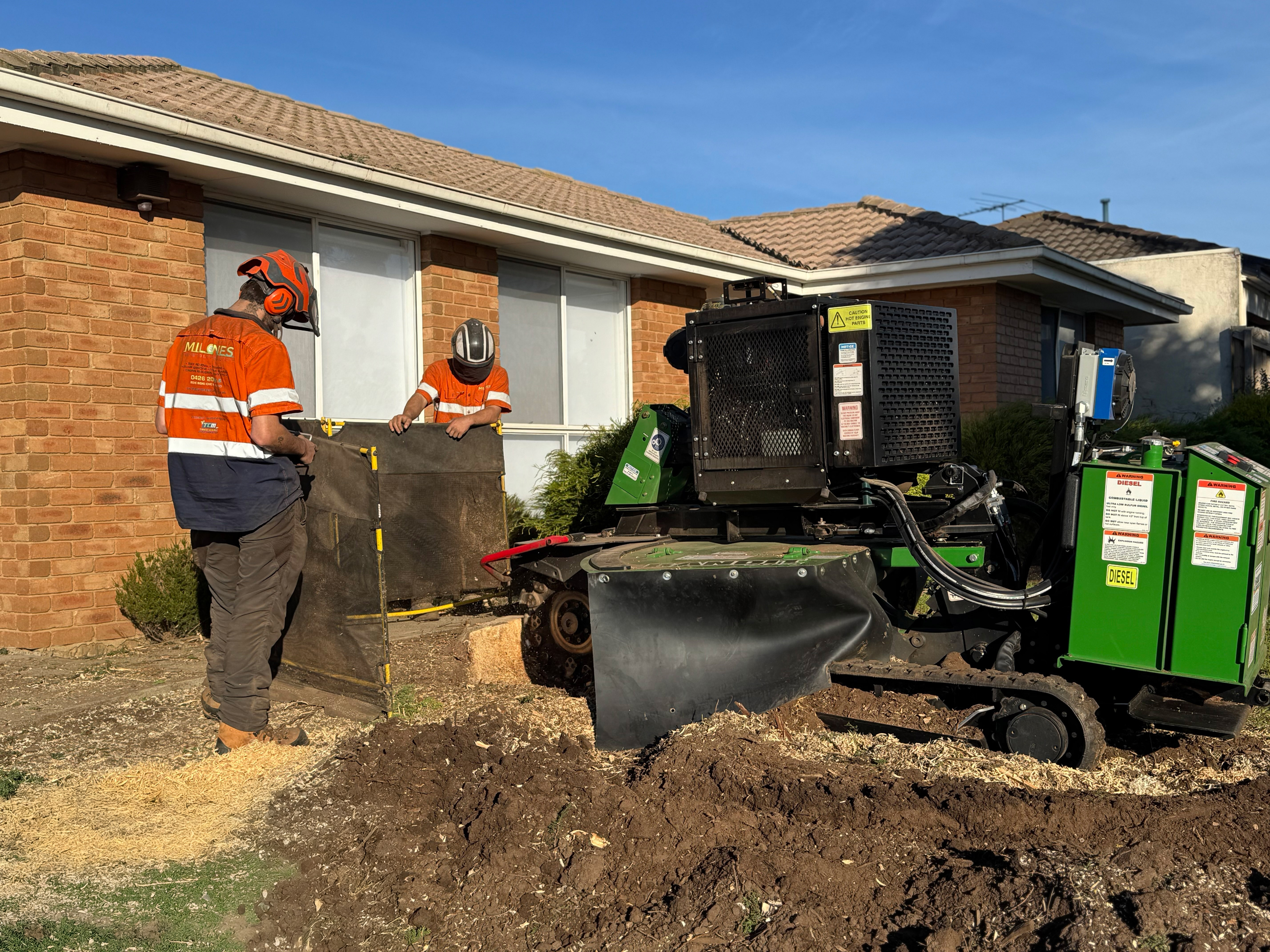 Two arborists operating a stump grinder.