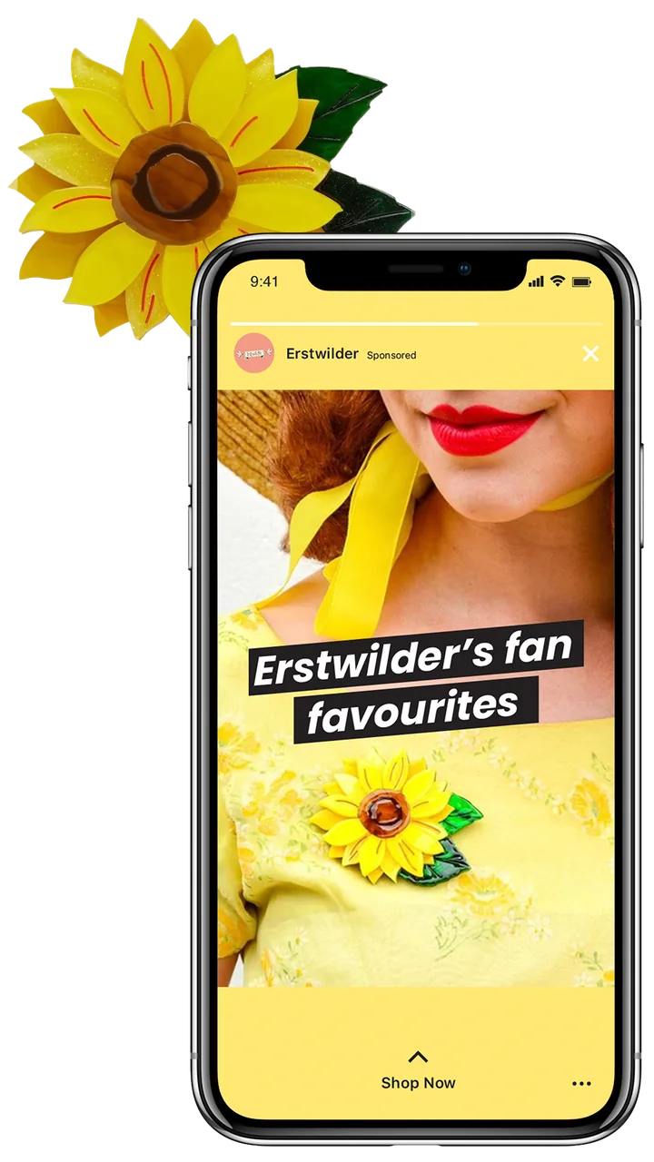 Erstwilder instagram story advertising.