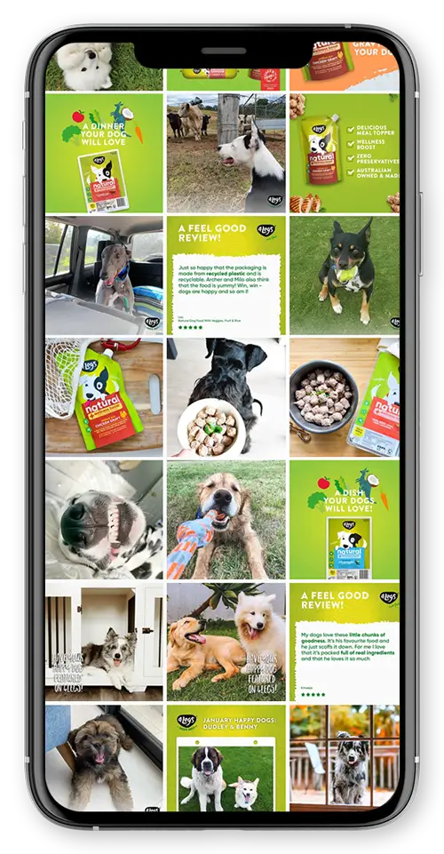 4Legs Pet Food managing social media feeds 4legs.