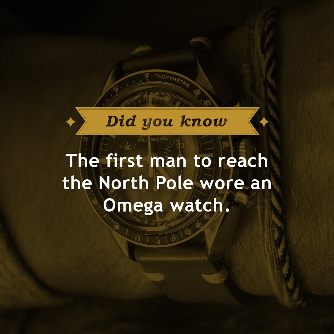 Fix My Watch did you know instagram 1.