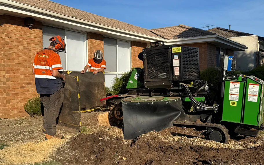 Two arborists operating a stump grinder.
