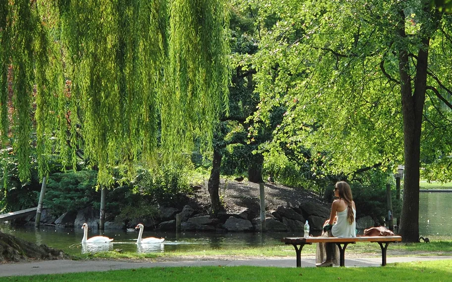Tree-lined park with a sculptural bench.