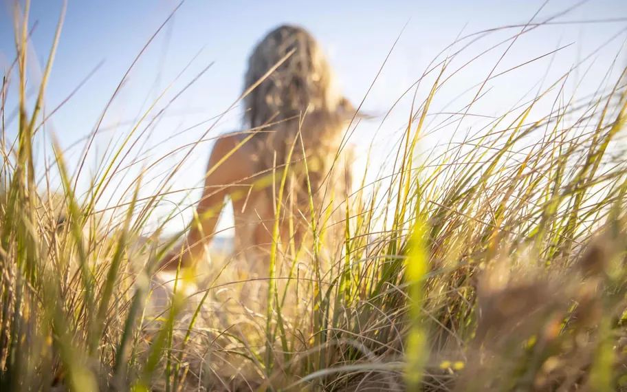 Person walking through tall grass.