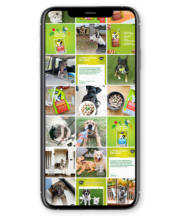 Instagram Feed of Pet Business on Phone