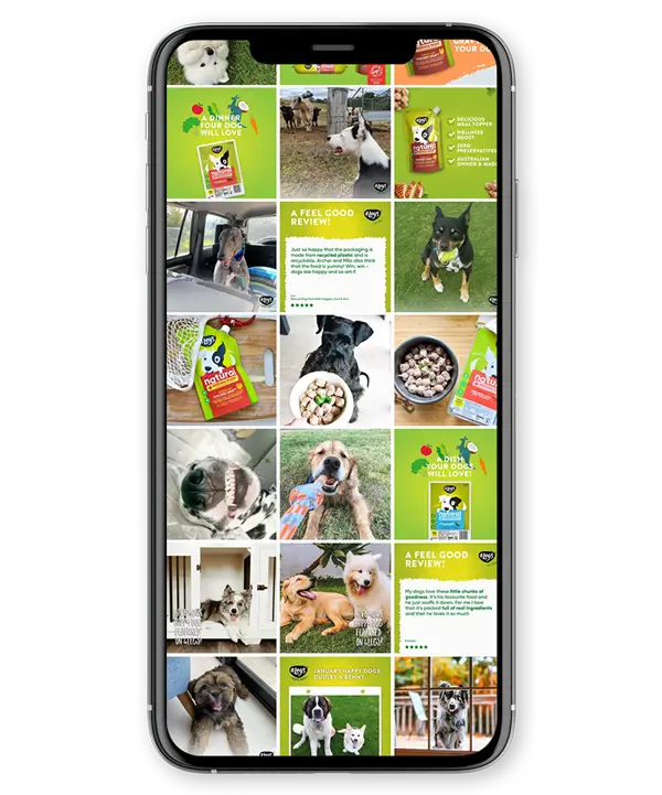 4Legs Pet Shop Business-Instagram Feed Highlights
