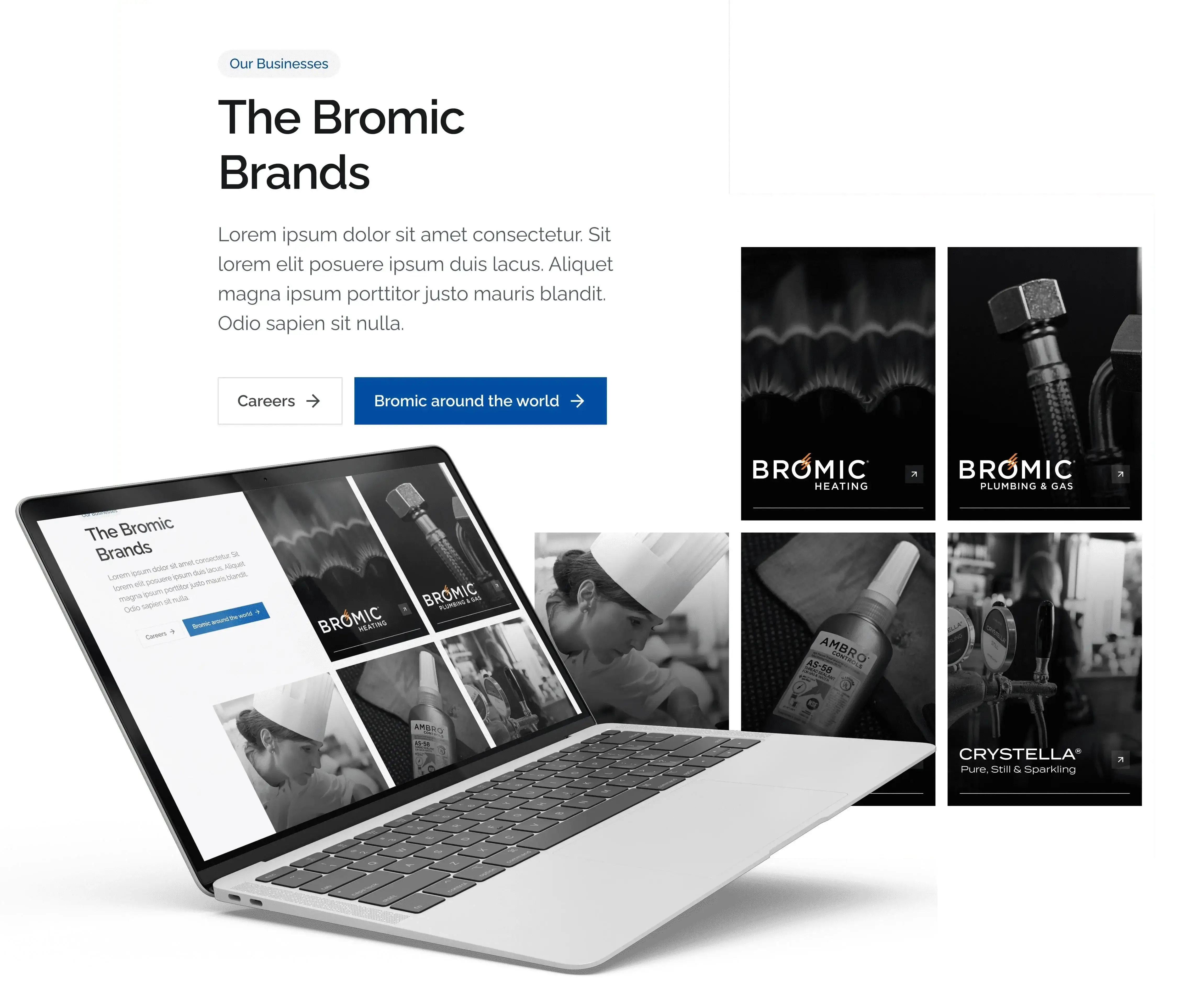 Bromic Brands New Website